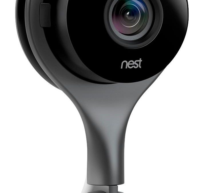Nest Camera Annual Fee